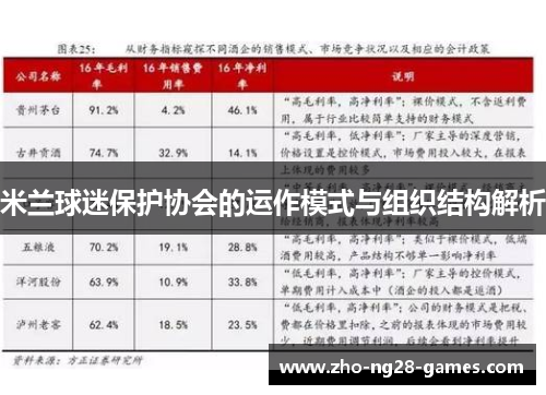 米兰球迷保护协会的运作模式与组织结构解析